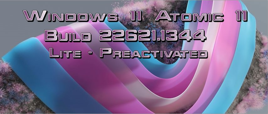 Windows 11 22H2 Pro X-Lite 22621.1344 Atomic 11